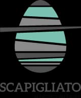 scapigliato