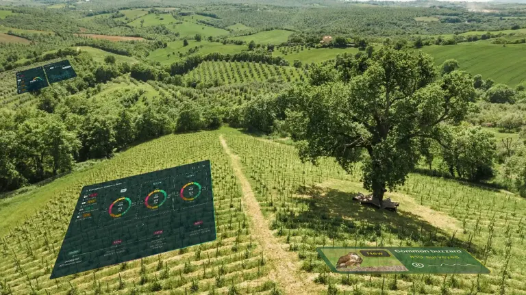 Fattoria La Maliosa