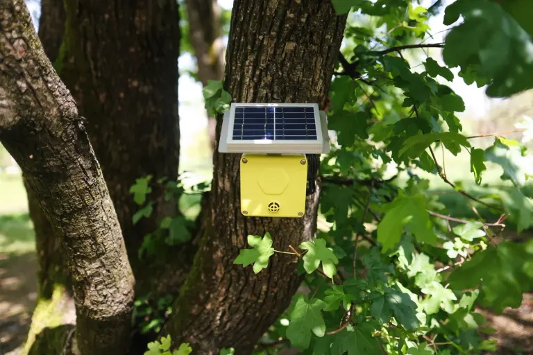 Fattoria La Maliosa Spectrum sensors in the field