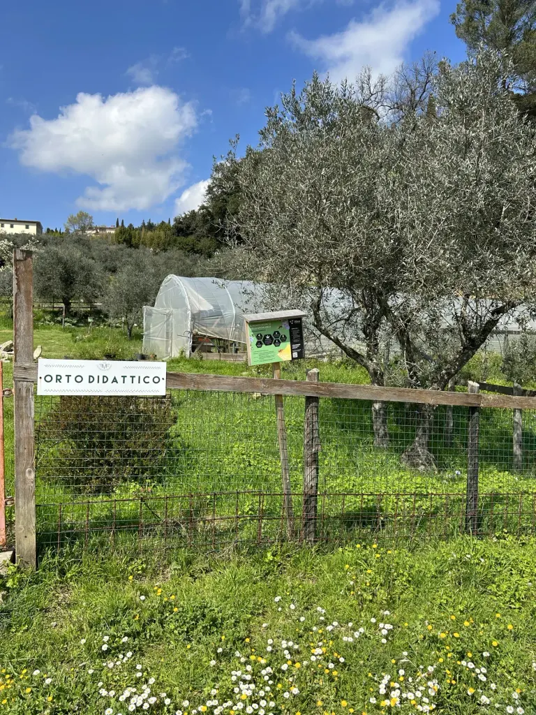 Fattoria di Maiano vegetable garden