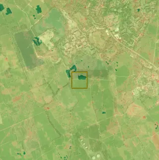 The layer as the platform draws it, over the satellite base.