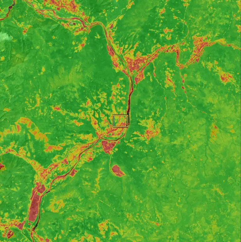 NDVI vegetation health layer of a corridor: greener where the vegetation is dense and healthy